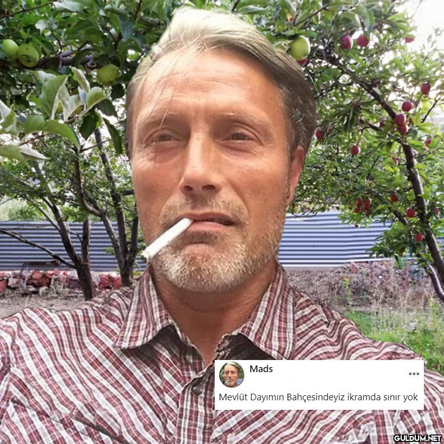 Mads Mevlüt Dayımın...
