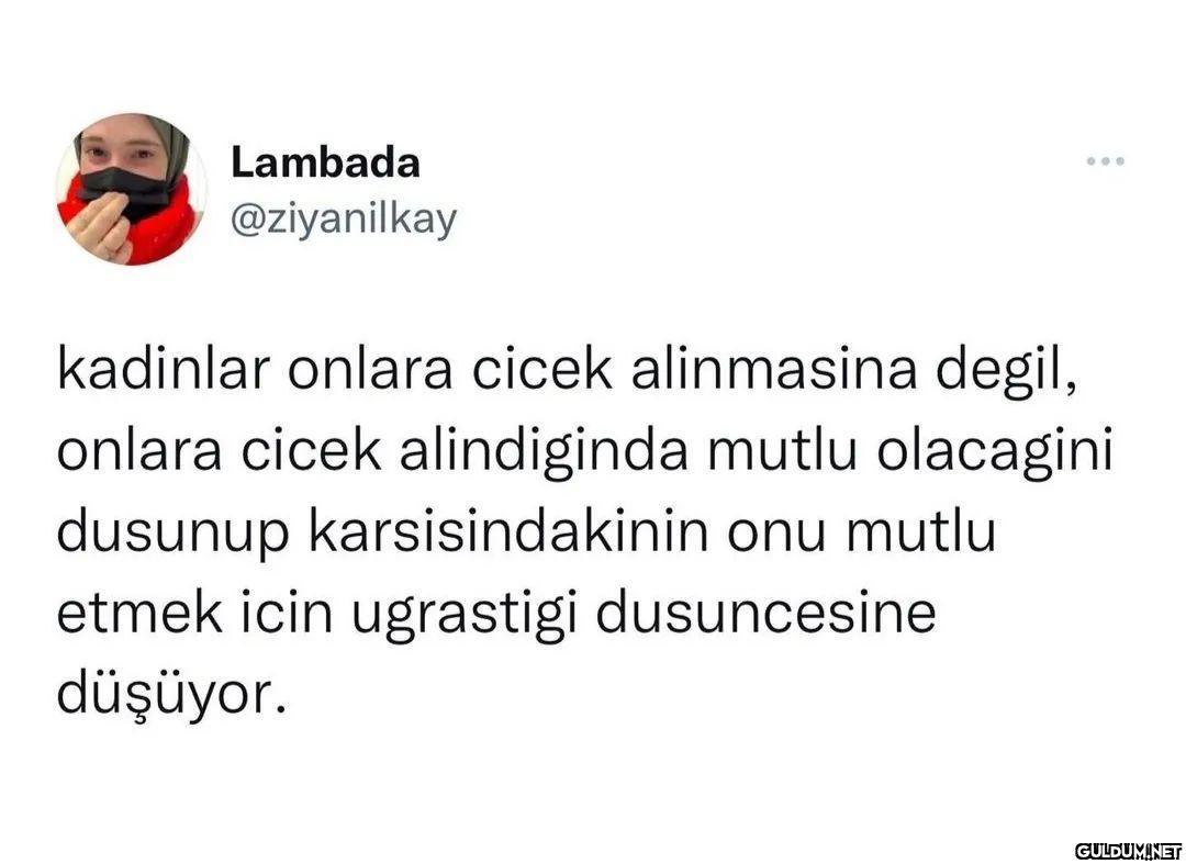 Lambada ... @ziyanilkay...