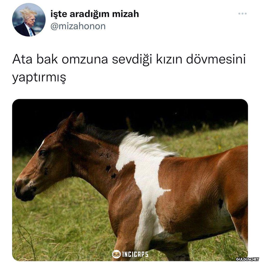 Pırıl pırıl kafalar  işte...