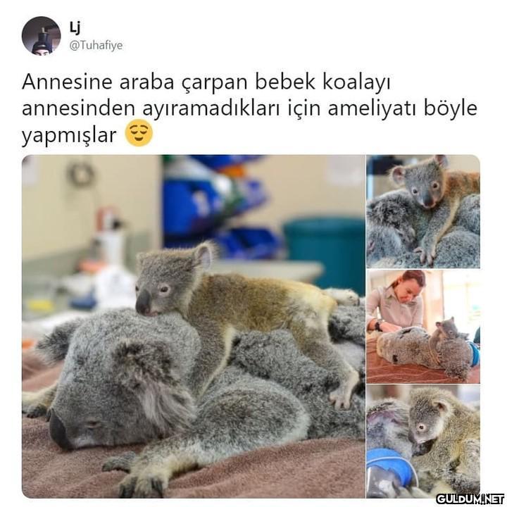 (Kaydırmalı)  Lj @Tuhafiye...