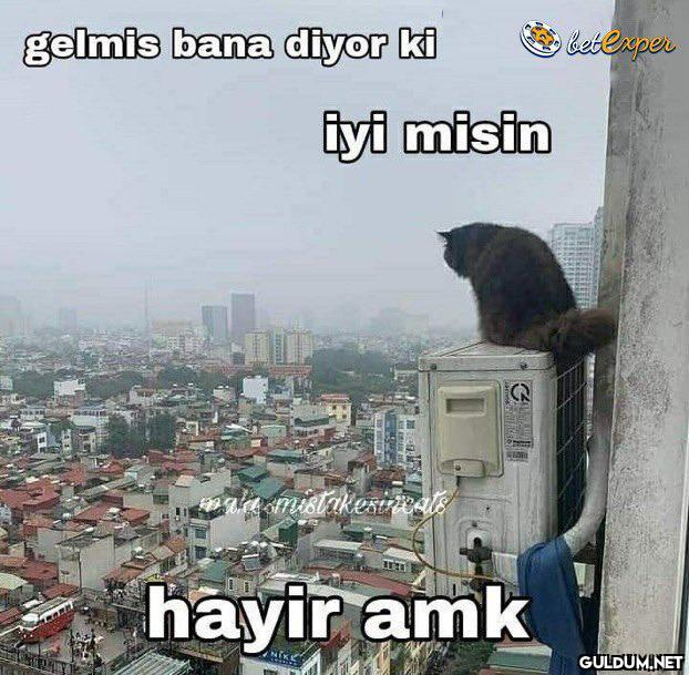 İyi geceler    gelmis bana...