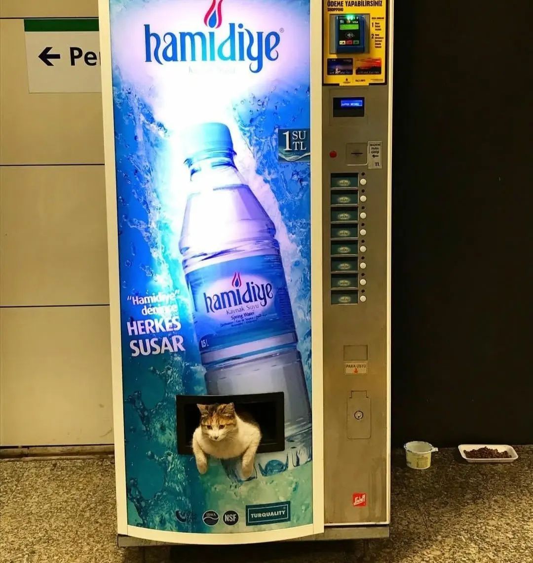 Günaydın pozitif başlayalım  Kaynak