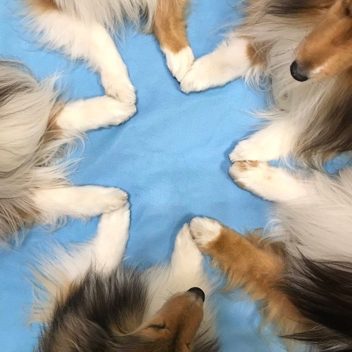 Ritual to summon the best...