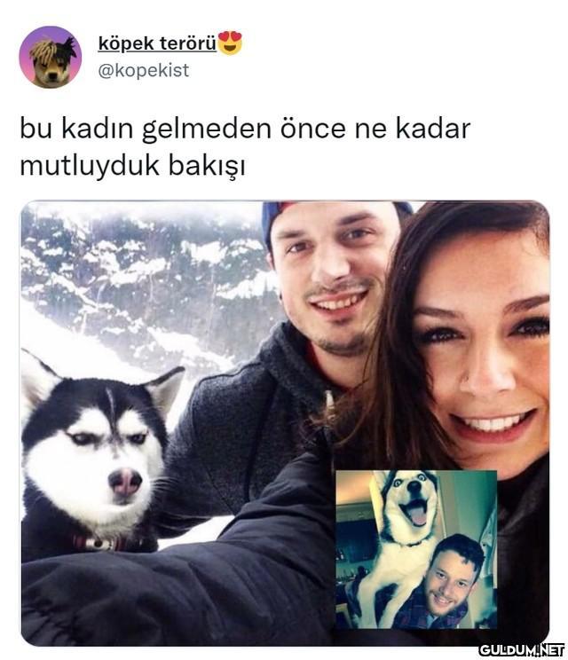 köpek terörü @kopekist bu...