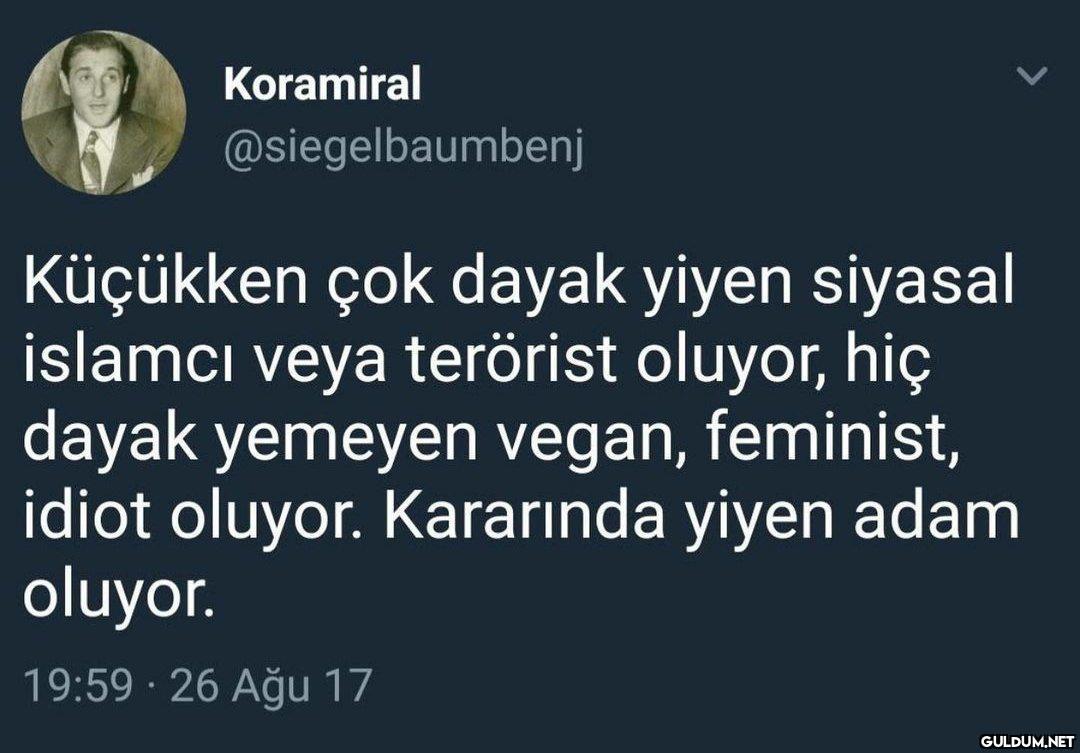 Koramiral @siegelbaumbenj...