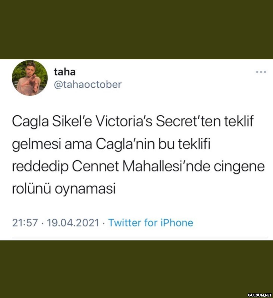 taha ... @tahaoctober...