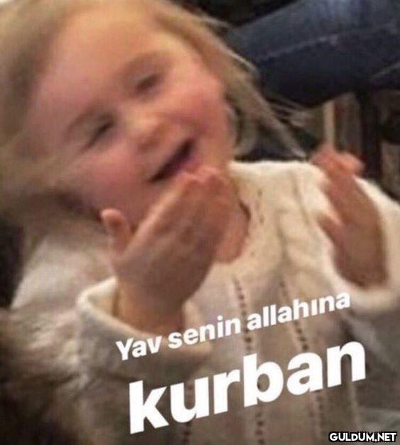 Fenerbahçe taraftarı...