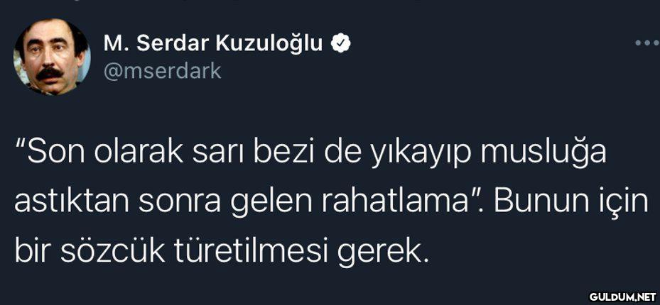 M. Serdar Kuzuloğlu...