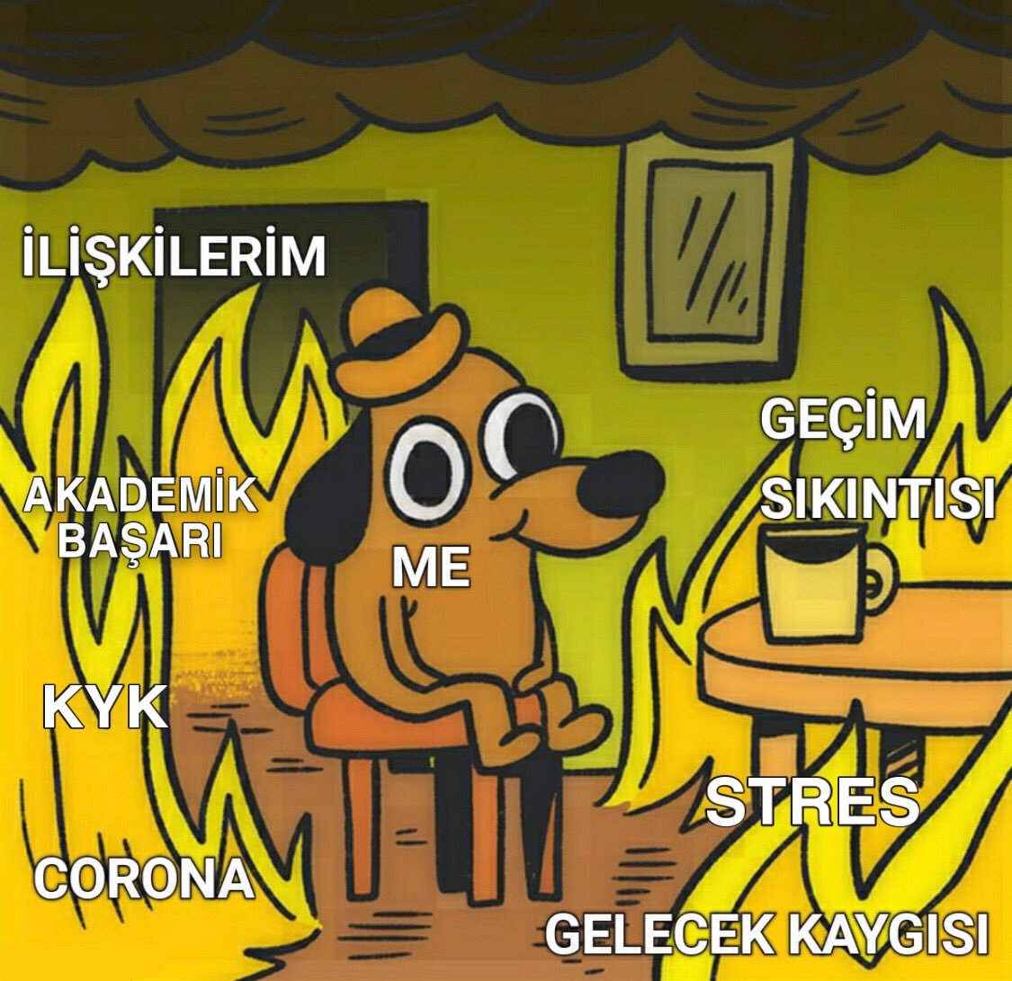 aynen ya gençlerin keyfi...