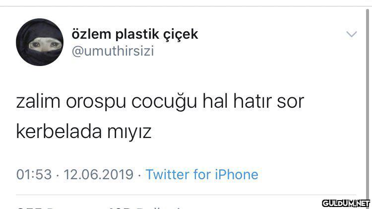 özlem plastik çiçek...