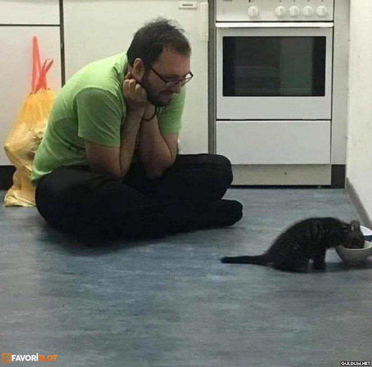 Yavru kedi görünce ben;   ...