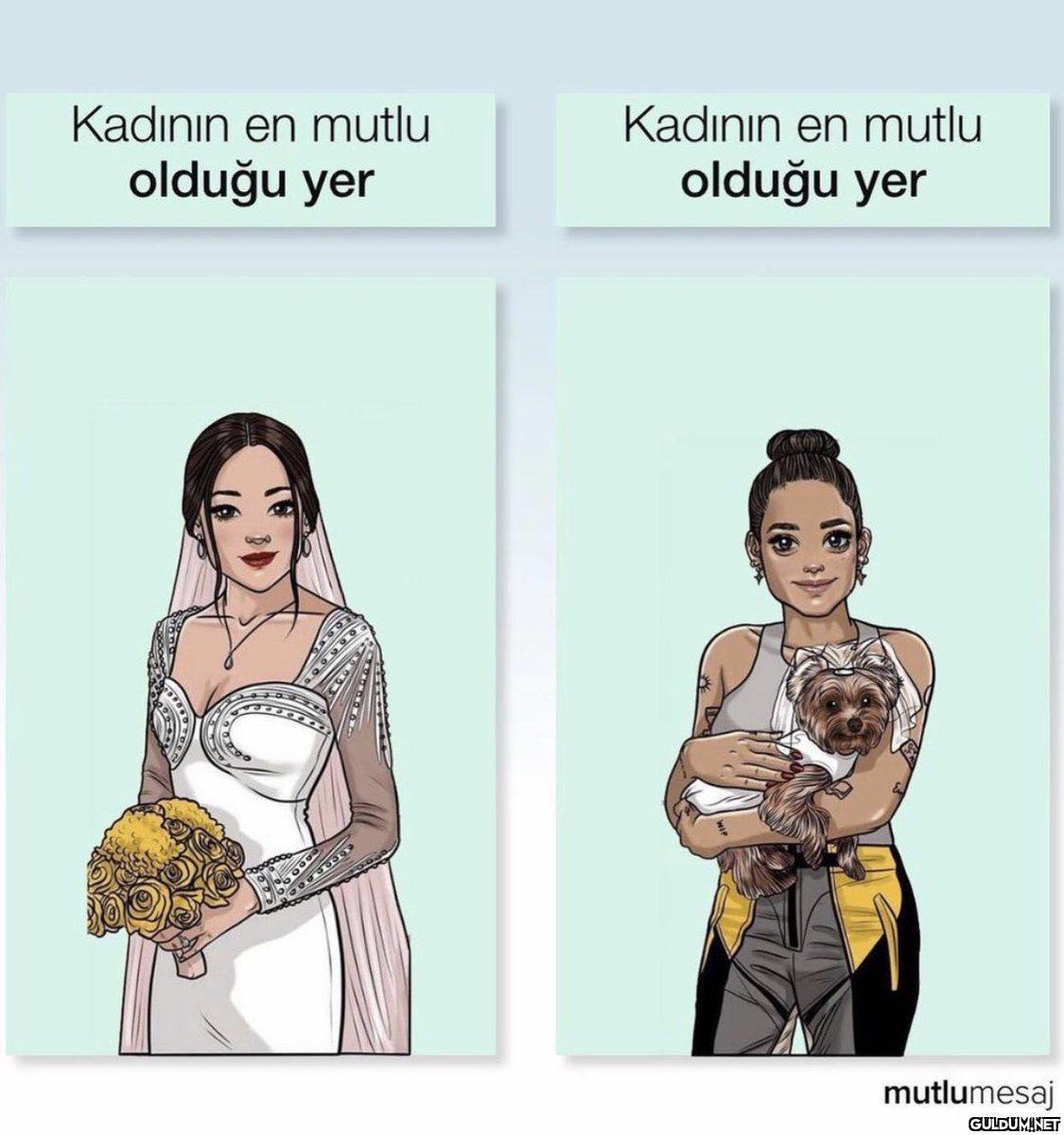 Mükemmel bir çalışma👍   ...