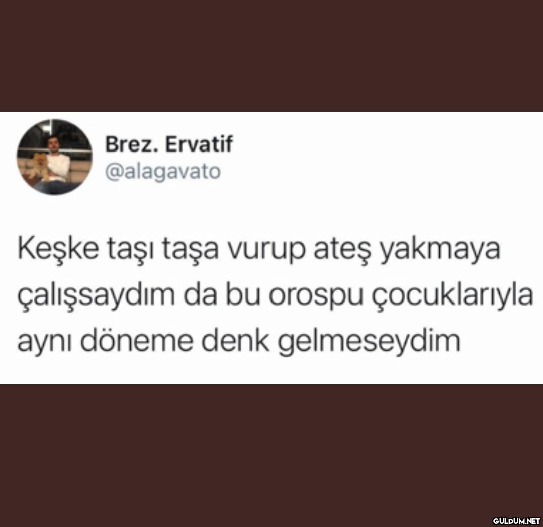 Brez. Ervatif @alagavato...
