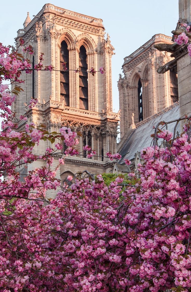 🇫🇷Notre Dame, Paris.    Kaynak