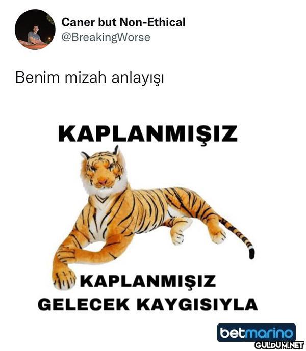 Caner but Non-Ethical...