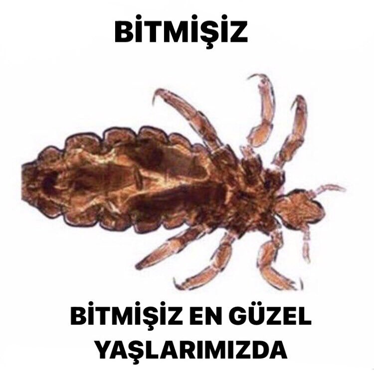 вітміsiz BİTMİŞİZ EN GÜZEL...
