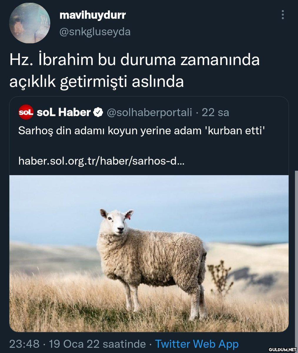 mavihuydurr @snkgluseyda...