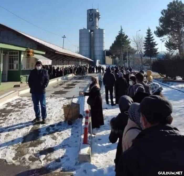 Yıllardır gençleri yağ...