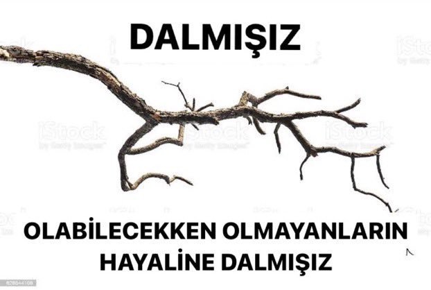 GÜLMÜŞÜZ BÜTÜN...