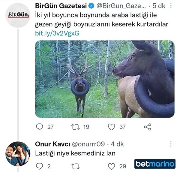 BirGün Gazetesi O...
