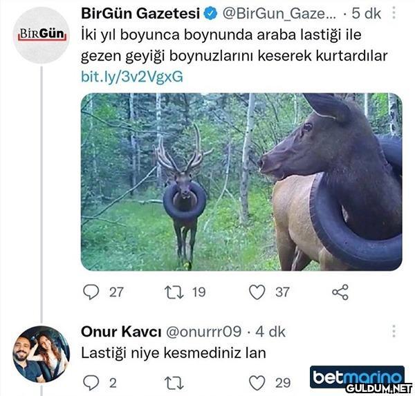 BirGün Gazetesi O...
