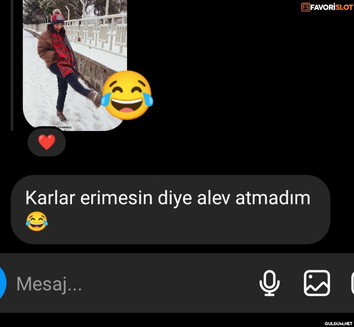 FAVORİSLOT trnyani Karlar...
