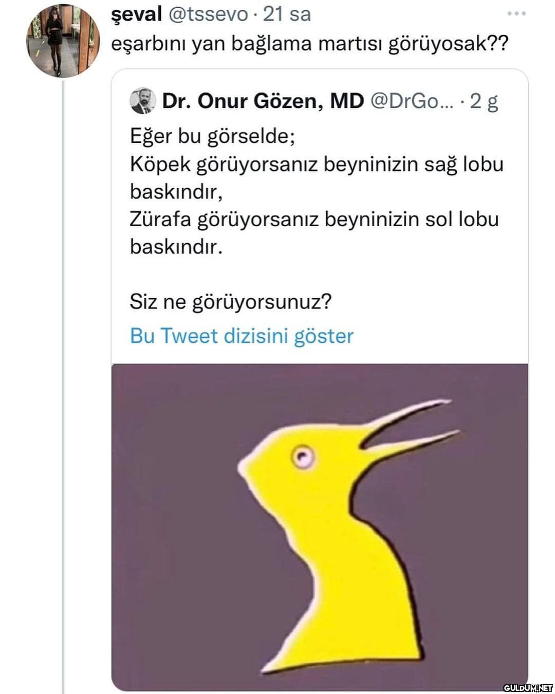 şeval @tssevo · 21 sa...