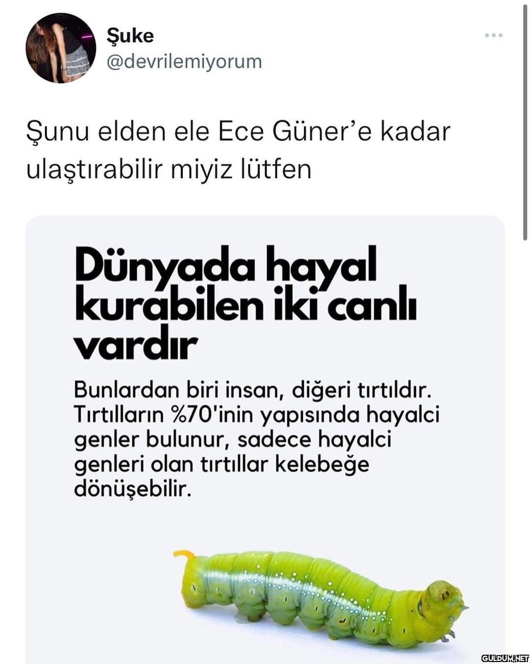 Kartalın ensesinde de...
