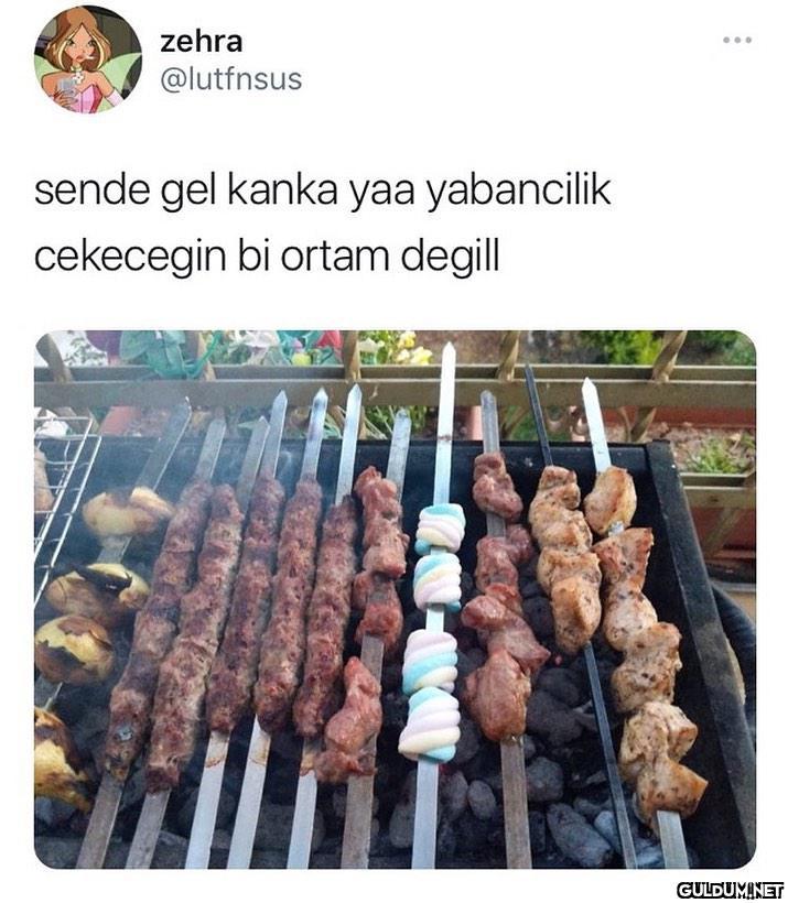 zehra ... @lutfnsus sende...