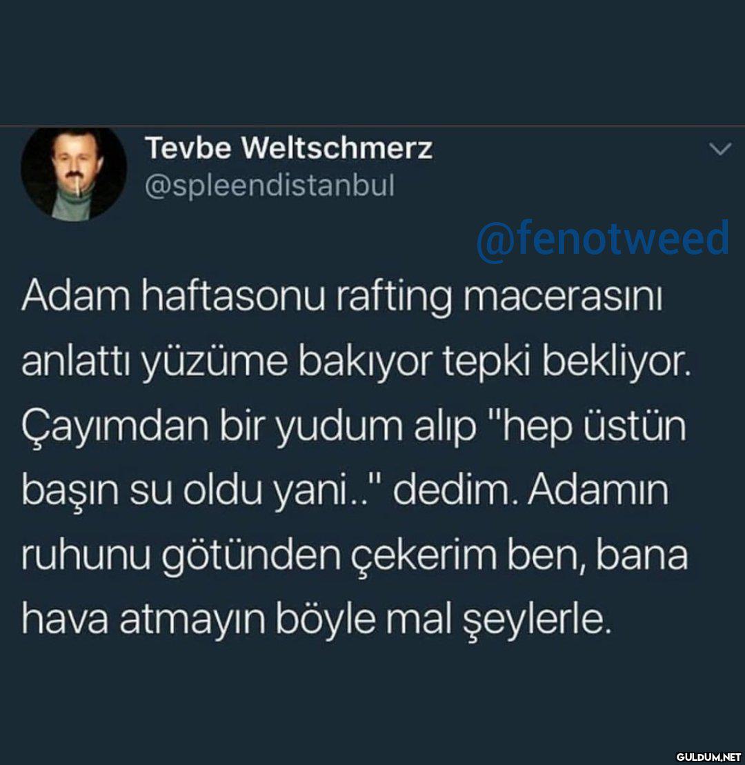 Tevbe Weltschmerz...