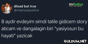 mrbahis dilsad but true...