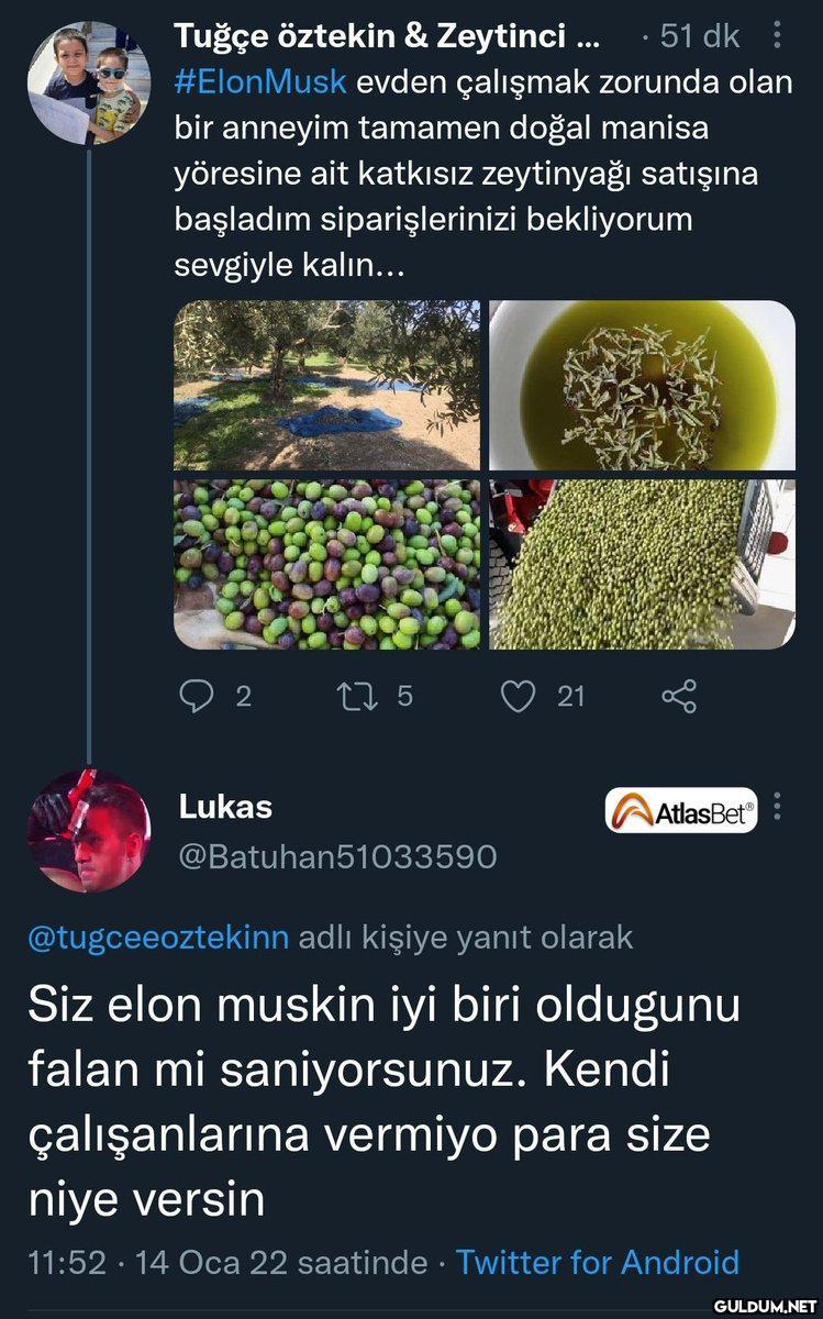 Tuğçe öztekin & Zeytinci...