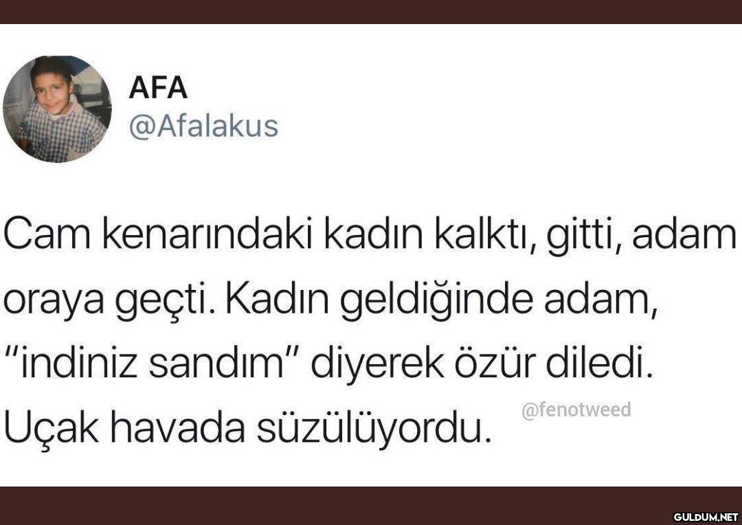 AFA @Afalakus Cam...