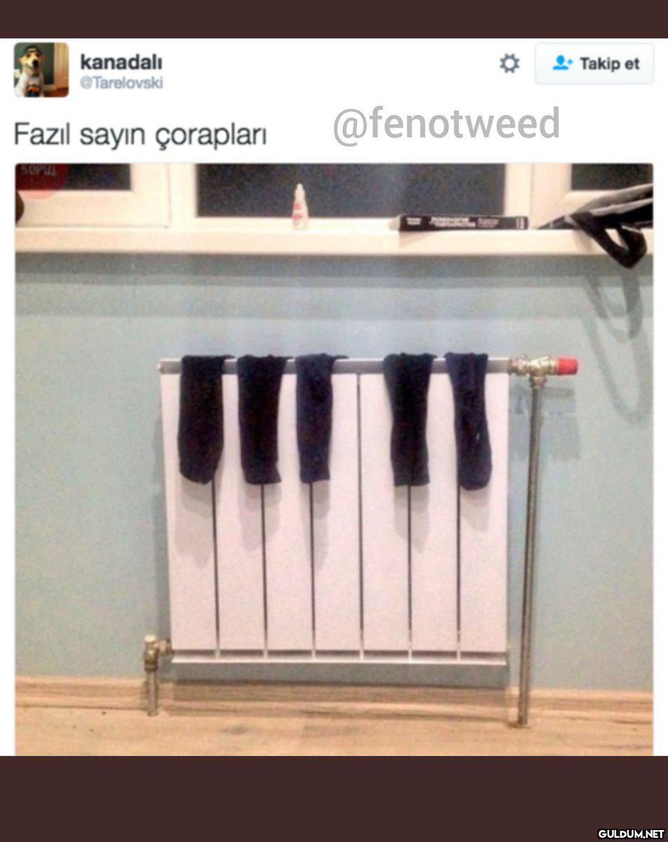 kanadalı @Tarelovski L...