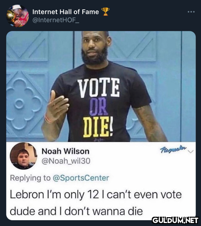 Internet Hall of Fame Y...