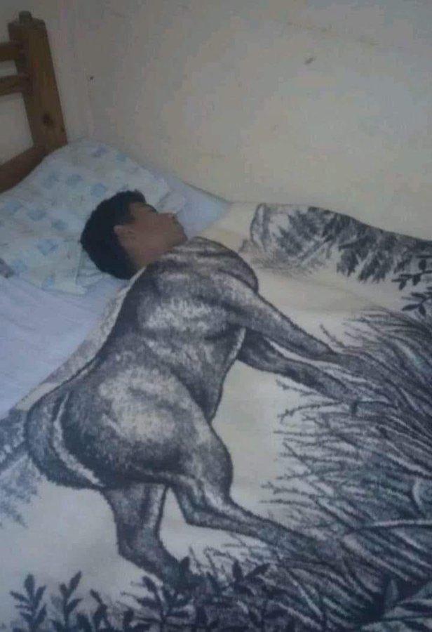 Denk gelişler    Kaynak