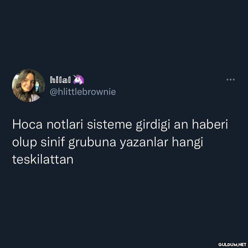 hilal @hlittlebrownie Hoca...