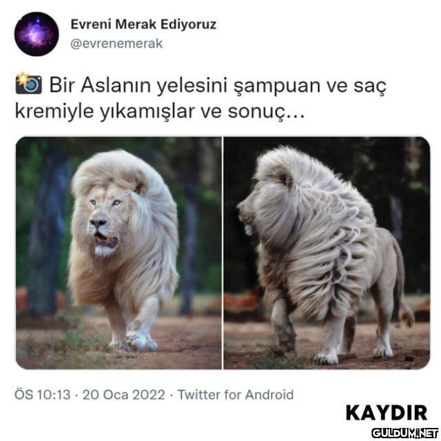 [📷...