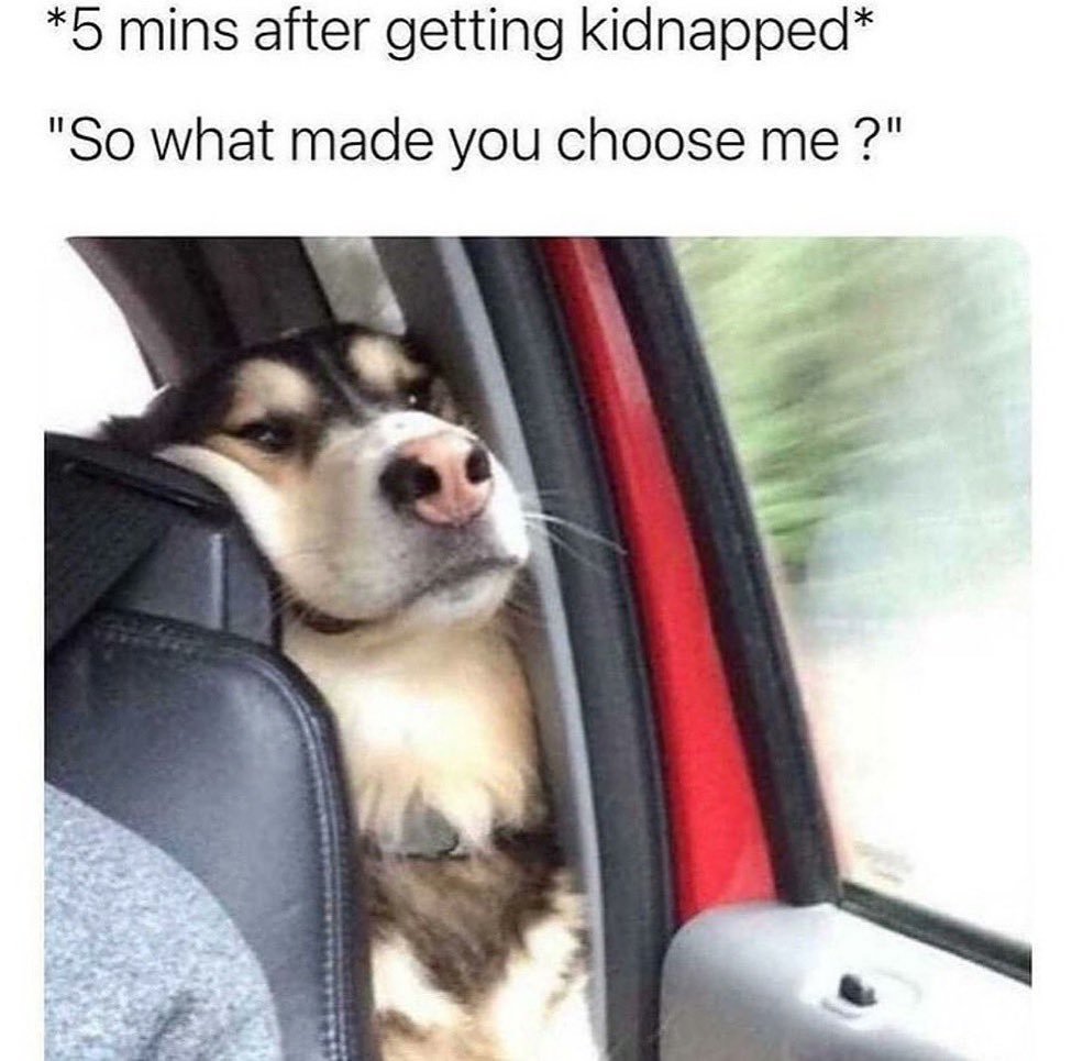 @someones.therapist 🐩  Kaynak