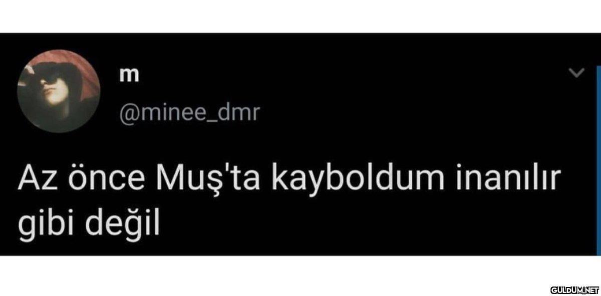 m @minee_dmr Az önce...