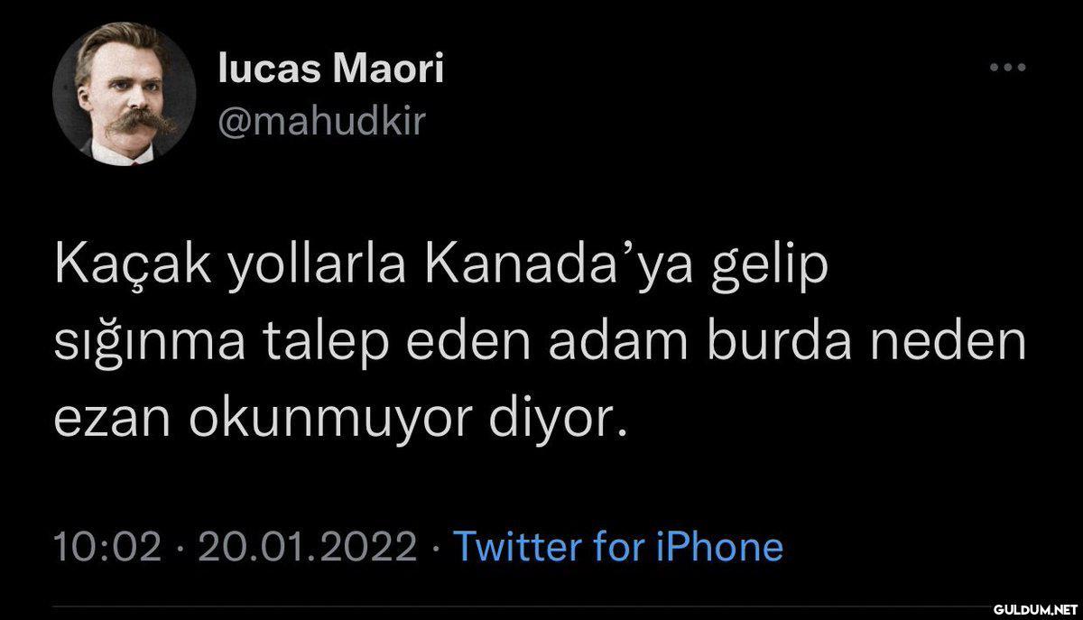 lucas Maori @mahudkir...