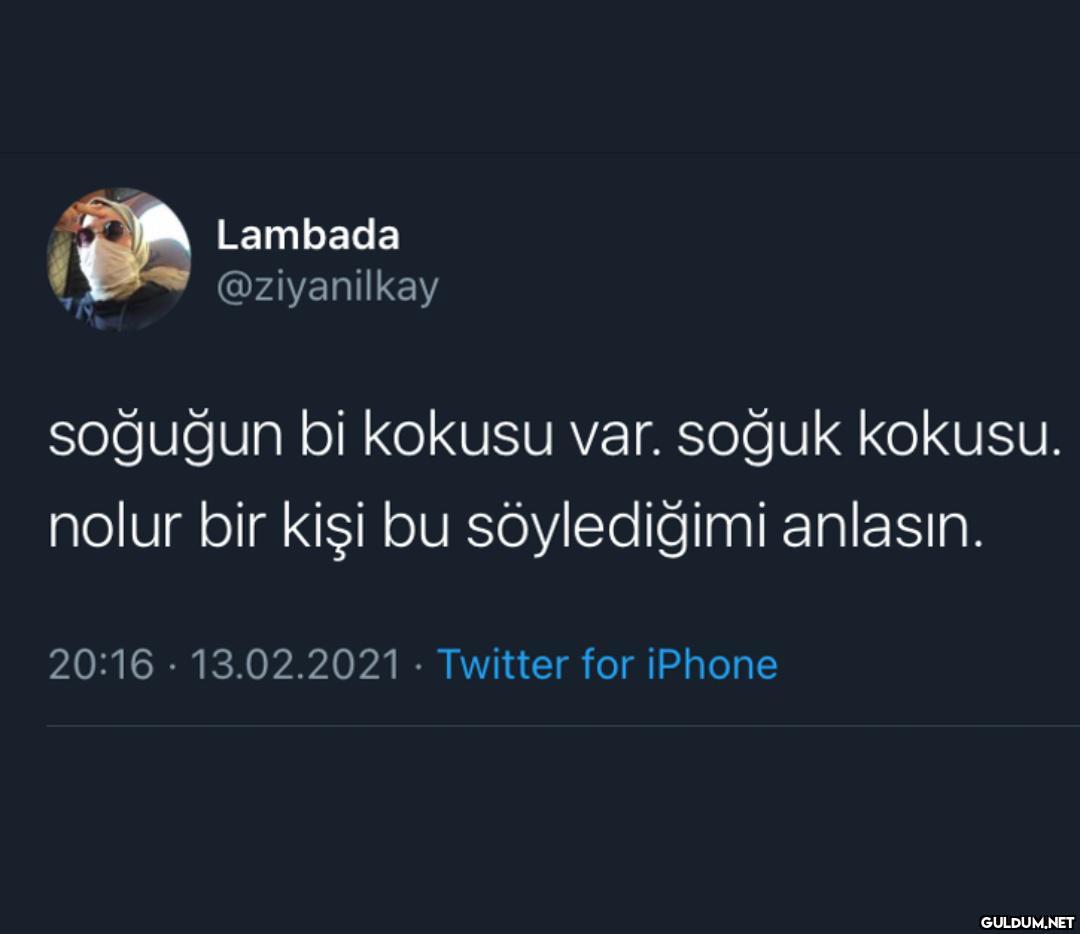 Lambada @ziyanilkay...