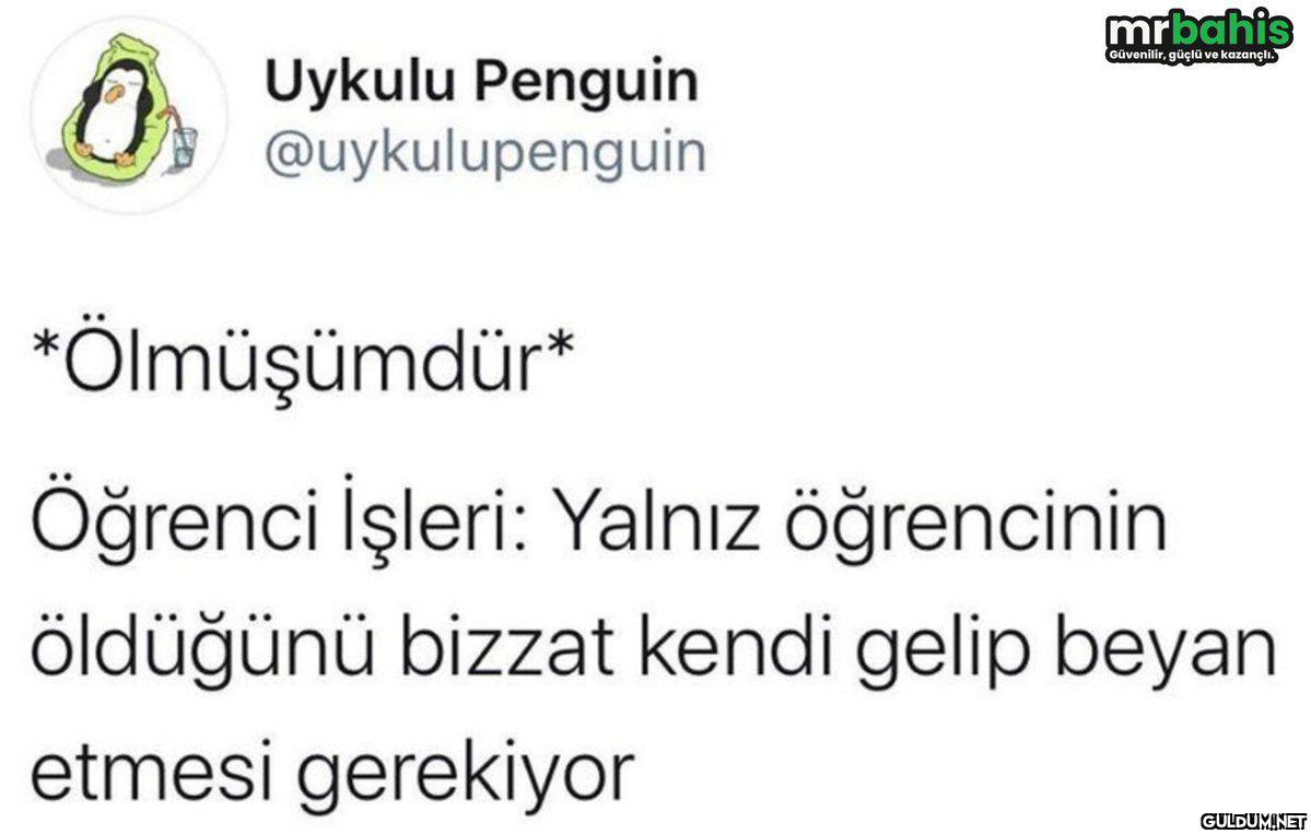 mrbahis Güvenilir, güçlü...