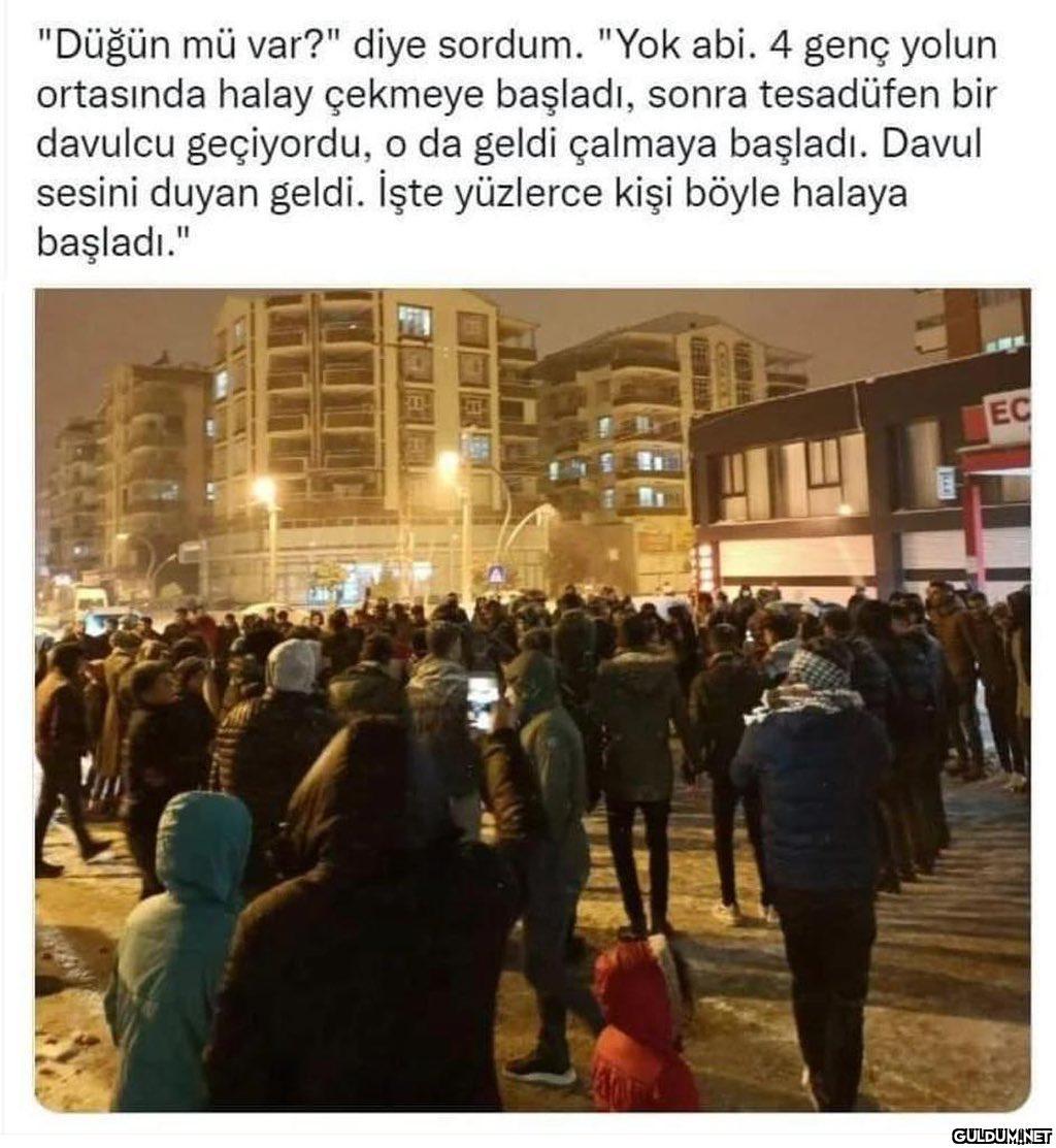Sizce hangi ilimiz...