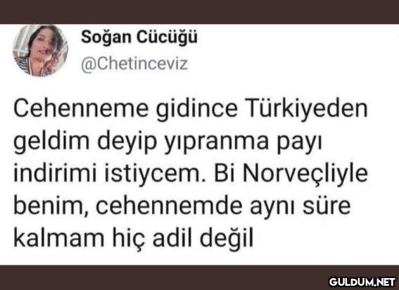 Soğan Cücüğü @Chetinceviz...