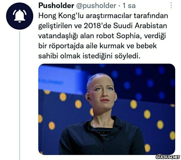Pusholder @pusholder · 1...