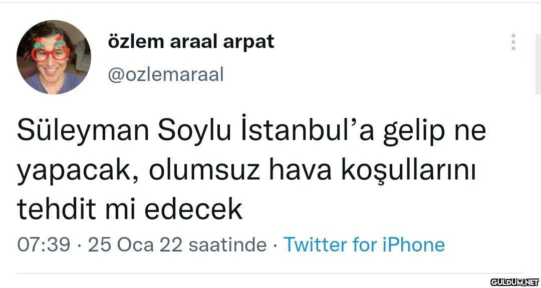 özlem araal arpat...
