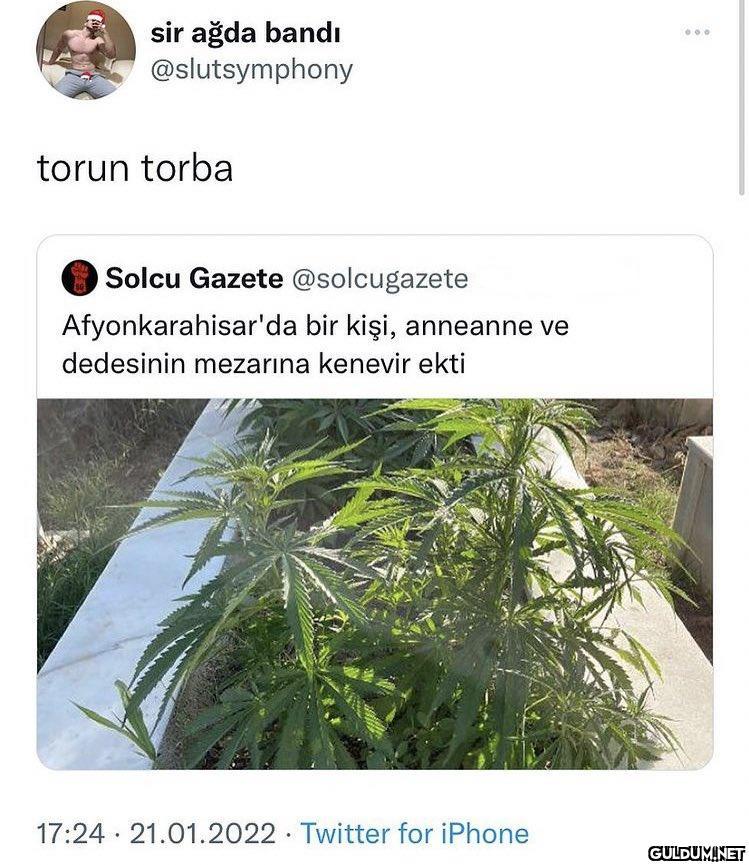 sir ağda bandı...