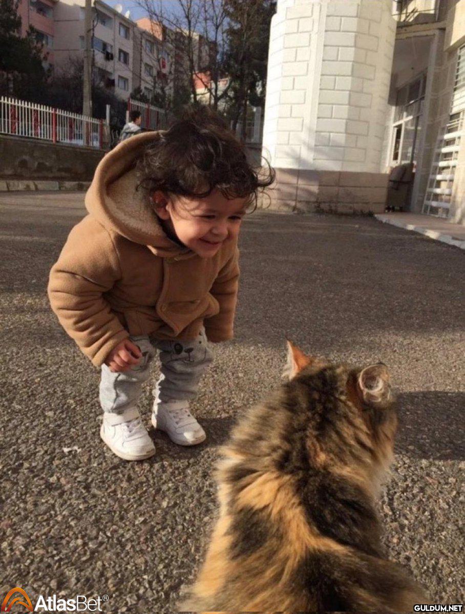 Sokakta kedi görmüşümdür; ...