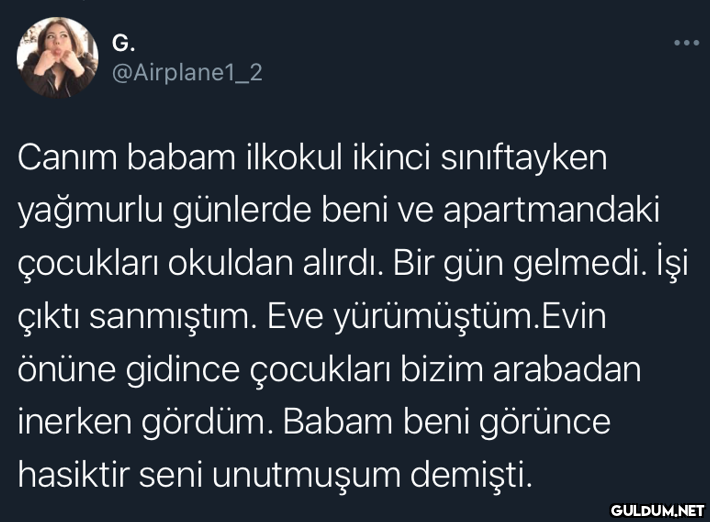 G. @Airplane1_2 Canım...